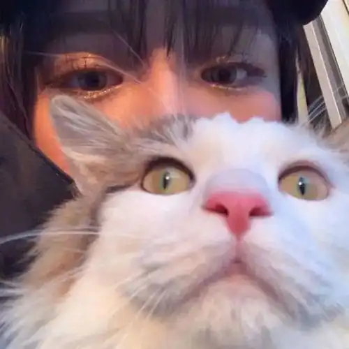 女生抱猫头像我在人间贩卖黄昏,只为收集时间的温柔去见你
