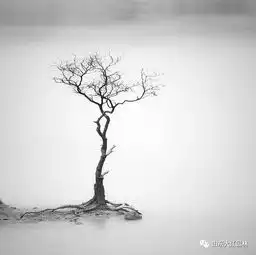 简生活
