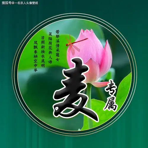 用你的姓氏当头像,20张唯美荷花大气图片,中国风华丽登场
