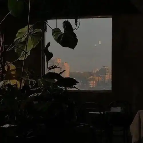单曲循环的歌词里都是遗憾黑色系背景图
