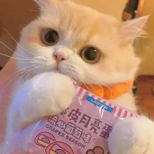 今日头像你的好运正在派件
