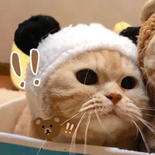 今日头像丨你是我的小众喜好
