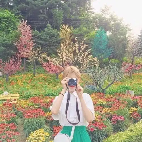 韩系
