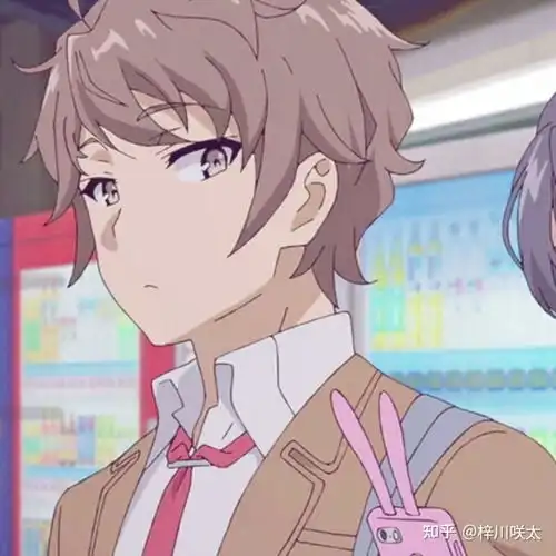 有没有青春猪头少年不会梦到兔女郎学姐的壁纸或者情头呢
