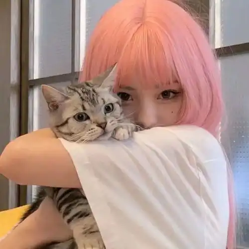 一组猫系女生头像,请签收

