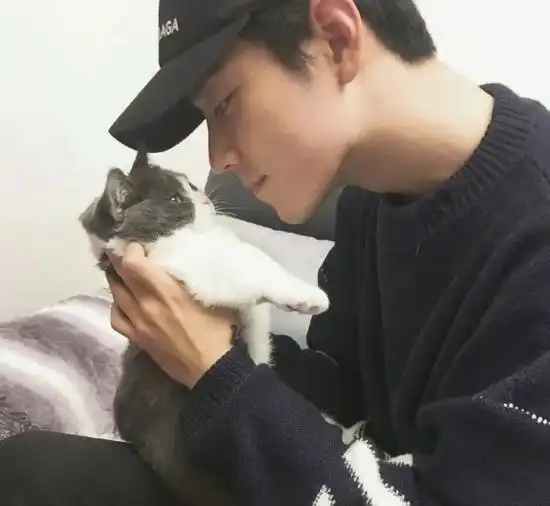 肖战胡歌李现来领取你的猫系男友吧
