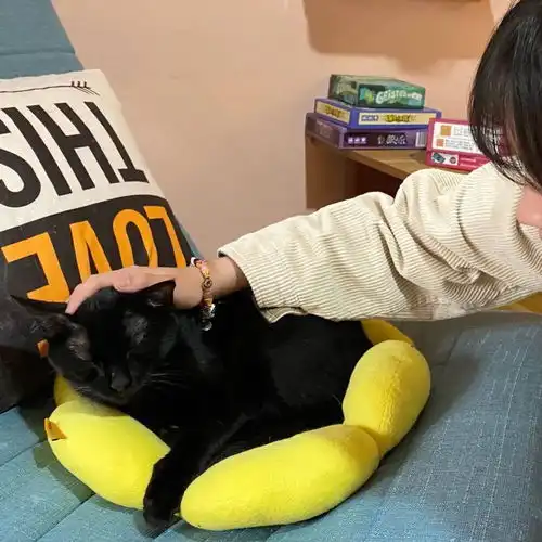 另一半不是人头像哈哈哈哈哈哈哈嗝
