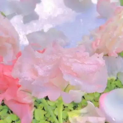 蓝色小清新花朵背景图清新温柔的花朵
