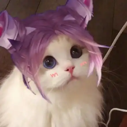 王者荣耀猫咪头像公孙离王者荣耀公孙离猫咪接头头像快吧手游
