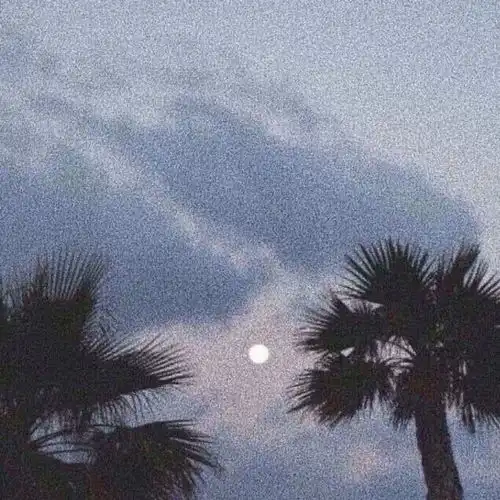又是一个睡不着的夜晚片段一口一斤猪肉高音质在线试听又是一个睡不着的夜晚片段歌词歌曲下载酷狗音乐
