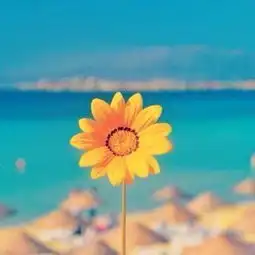 读把生命浪费在美好的事物上
