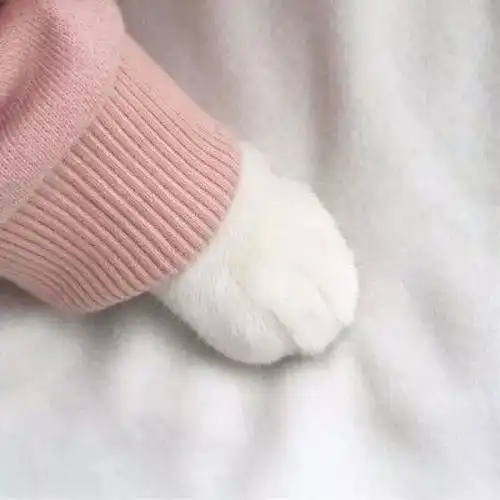 温柔治愈系背景图片朋友圈唯美背景图片
