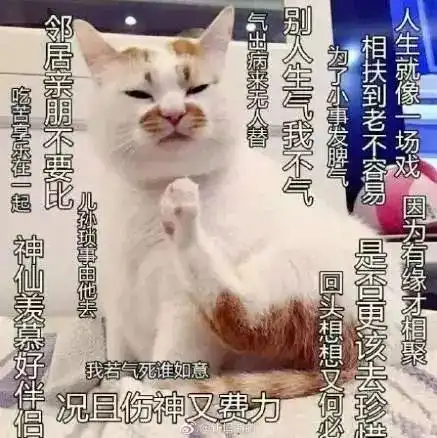 假如我是一名佛系教师
