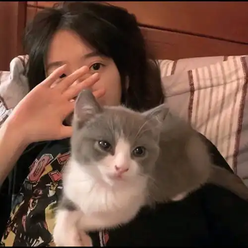 ins头像女图你不给我买玫瑰花.

