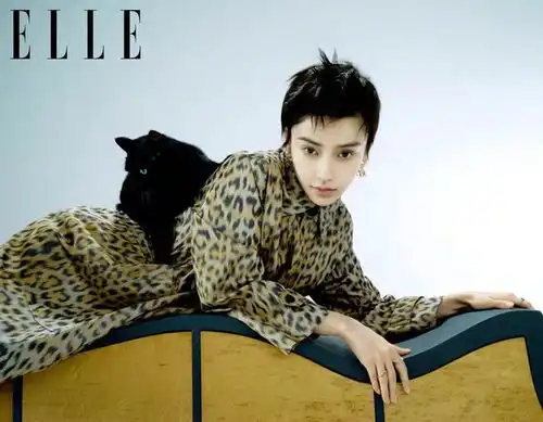 杨颖杂志封面大片,变身猫系女友短发造型撞脸郭采洁尴尬
