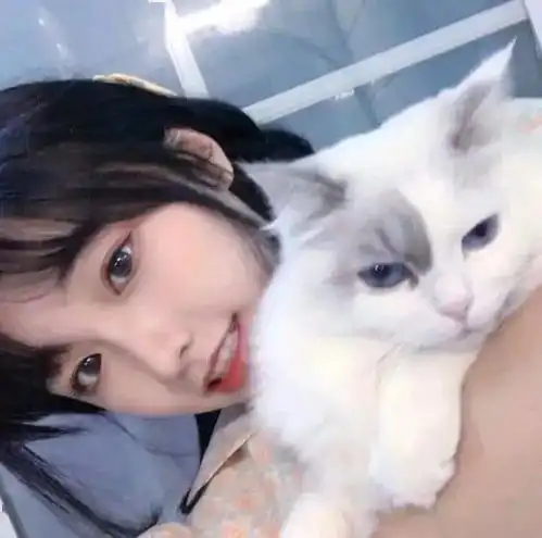 头像图片丨女生头像丨可爱的猫系女头1214

