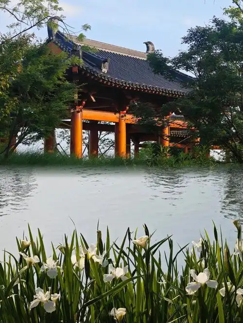 无锡这里爆火不收门票停车免费
