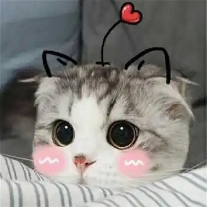 可爱萌猫情侣头像,命里有时终需有不要在意
