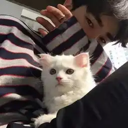 100张精选头像
