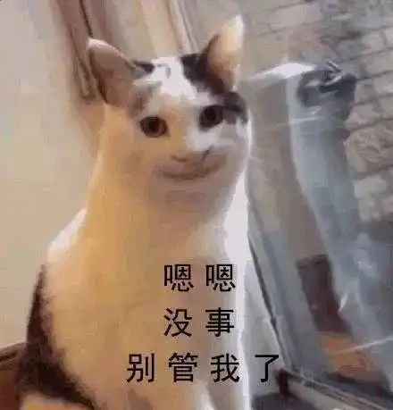 整完牙就万事大吉了
