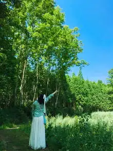 道明竹里成都周边一日游2019年清明小长假打卡
