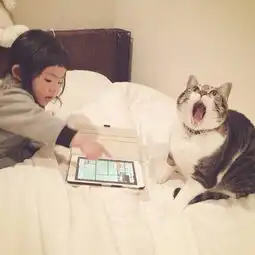 绝对治愈系照片孩子与猫咪的日常生活
