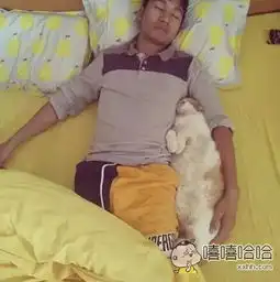 搞笑hao123上网导航
