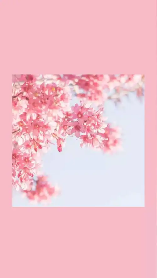 个性萌系粉色少女心壁纸
