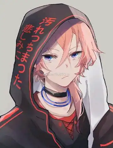 文豪野犬三代双黑太中
