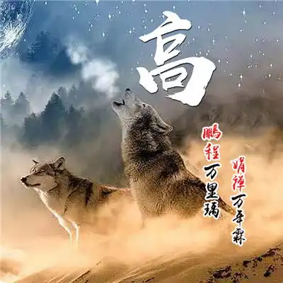高端大气微信头像,全部是姓氏名字系的
