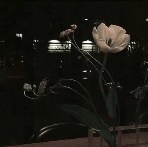 苏瓷高冷黑色系背景图

