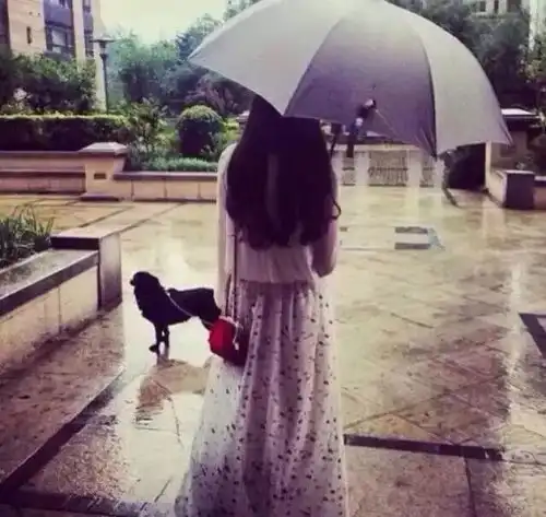 养狗以后,我有了提前当妈的体验...
