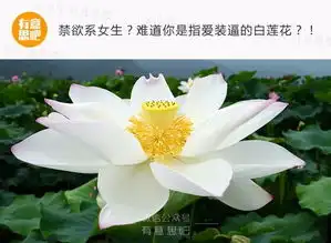 什么样子的男生女生称得上禁欲系
