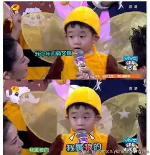 组图爸爸去哪儿2最热门10大萌娃盘点
