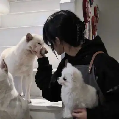 部位头像
