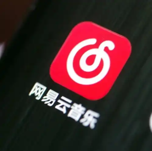 丁磊要拿网易云音乐做什么
