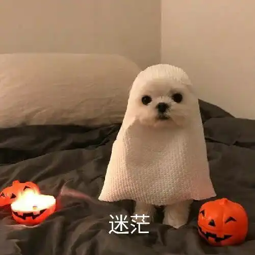 男朋友打游戏不理你时
