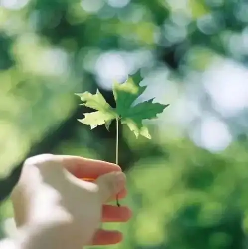 你的柔情,温暖了谁的思念
