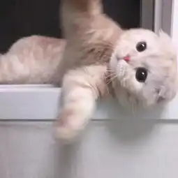 四六级备考
