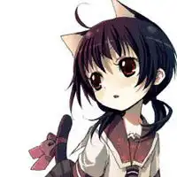 猫系少女
