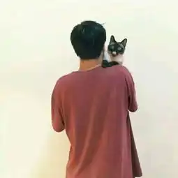 有什么好看的猫的情侣头像
