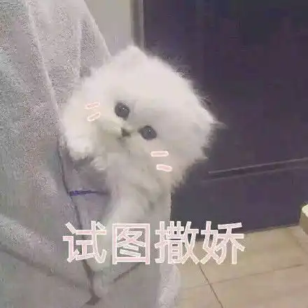 撒娇表情包大全撒娇表情包图片撒娇可爱的表情包
