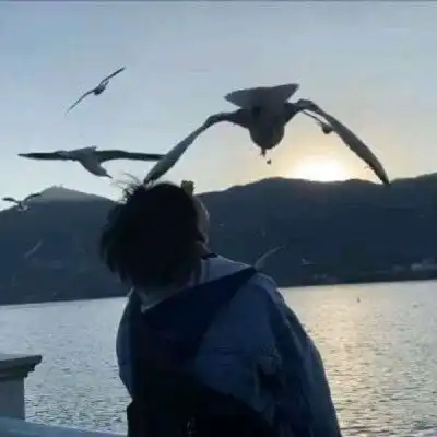 吸引女孩的男生头像
