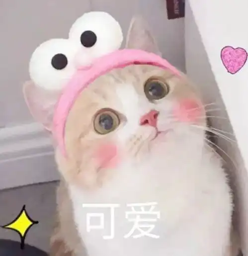 萌系头像敲可爱
