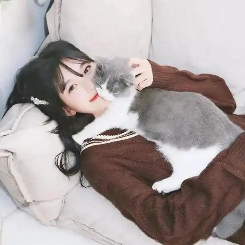 头像,抱猫女孩最温柔
