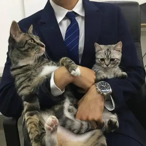 头像丨男生头像丨男生头像阳光帅气腾讯新闻

