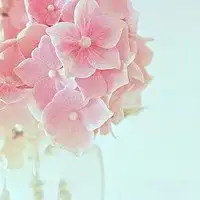 微信山水花草高清头像微信头像图片大全
