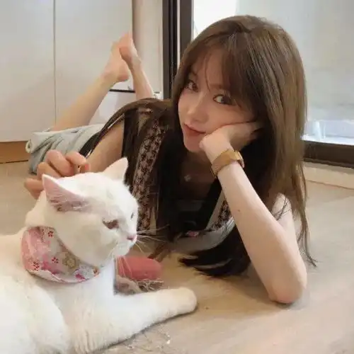 头像图片丨女生头像丨可爱的猫系女头1214
