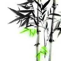 带字的微信竹子头像微信头像图片大全
