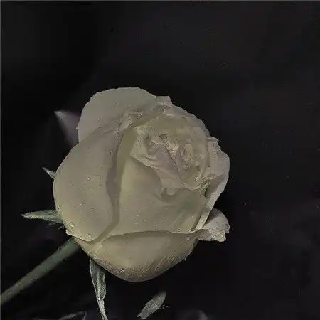 黑色系ins背景图比较丧的黑色伤感图片
